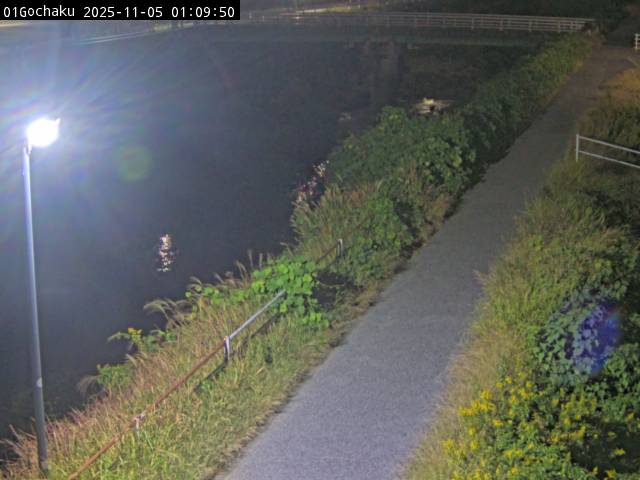 最新監視カメラ画像