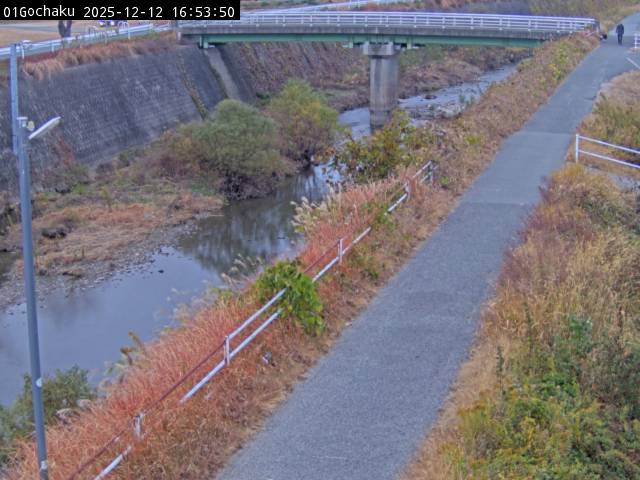 最新監視カメラ画像