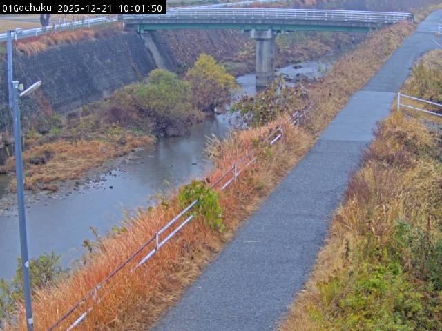 最新監視カメラ画像