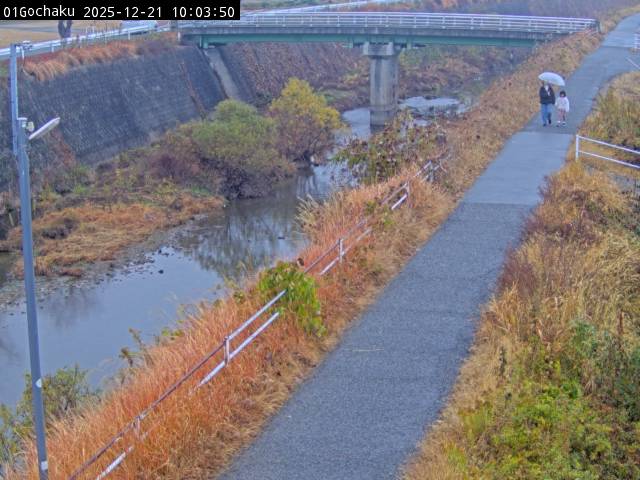 最新監視カメラ画像