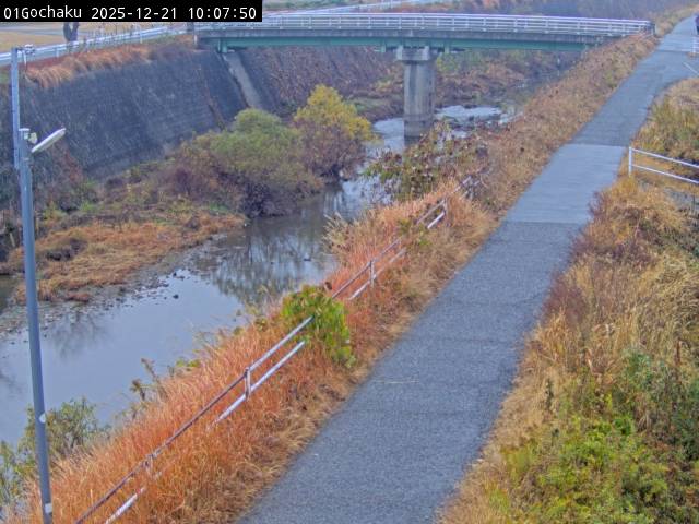 最新監視カメラ画像