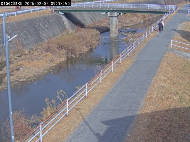 最新監視カメラ画像