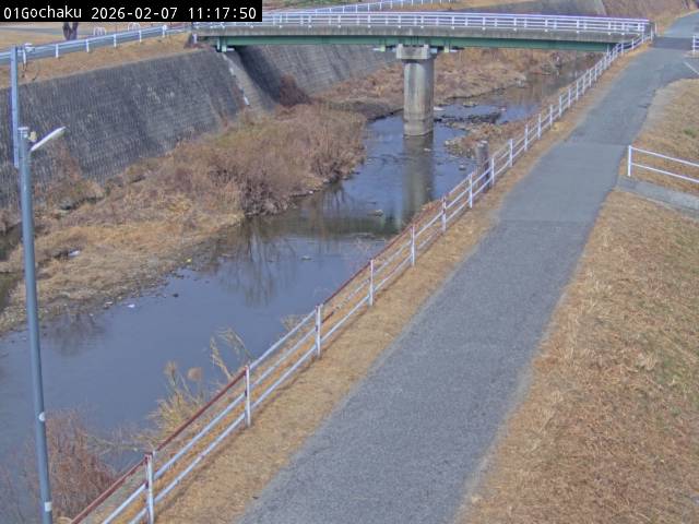 最新監視カメラ画像