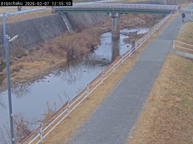 最新監視カメラ画像