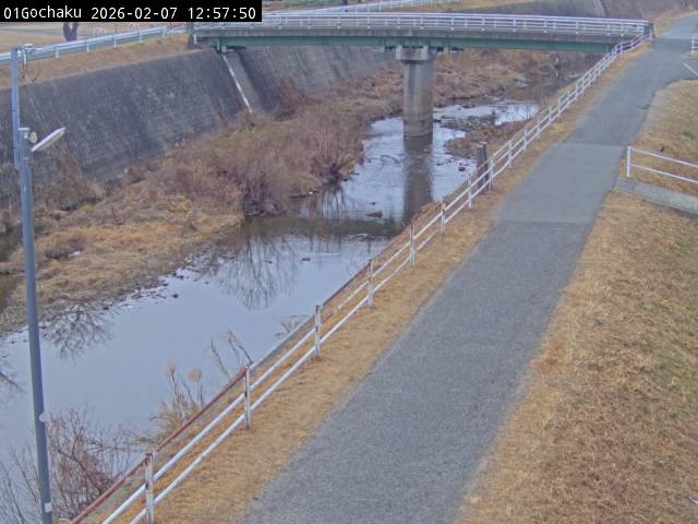 最新監視カメラ画像