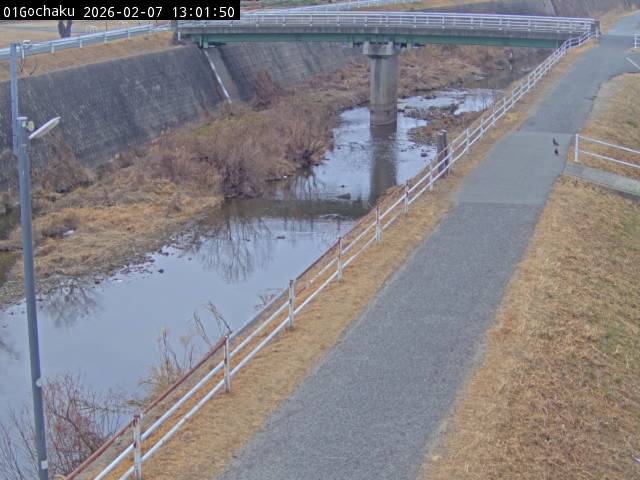 最新監視カメラ画像