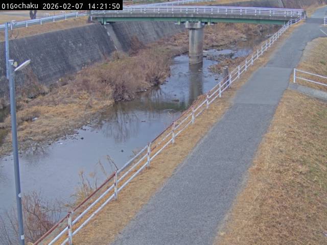 最新監視カメラ画像