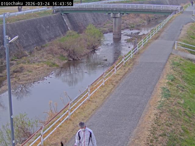 最新監視カメラ画像