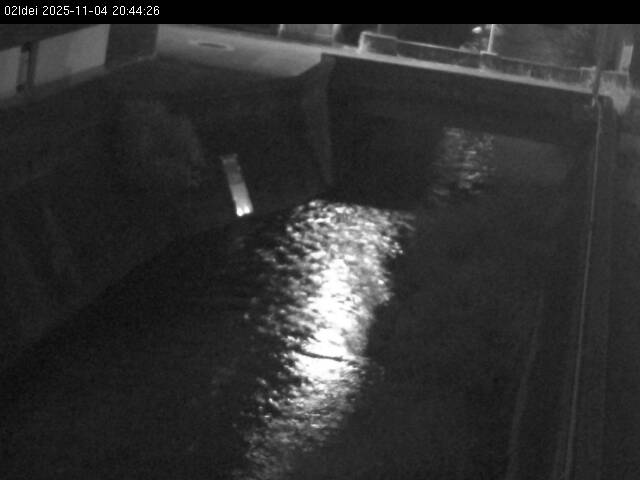 最新監視カメラ画像