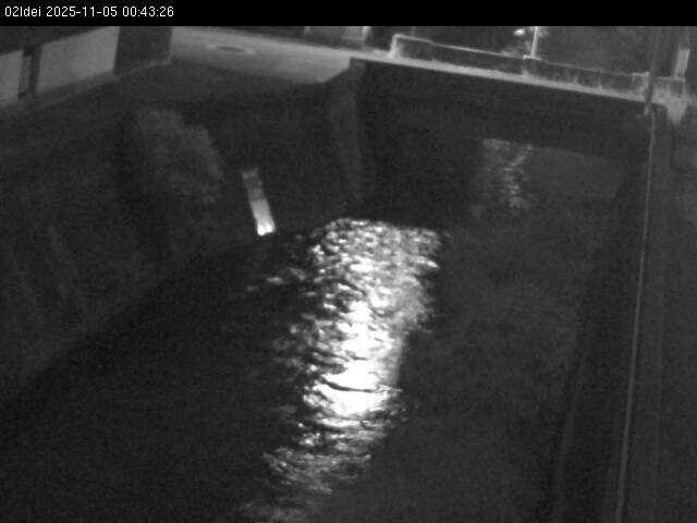 最新監視カメラ画像