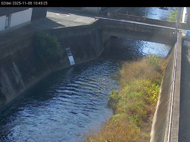 最新監視カメラ画像