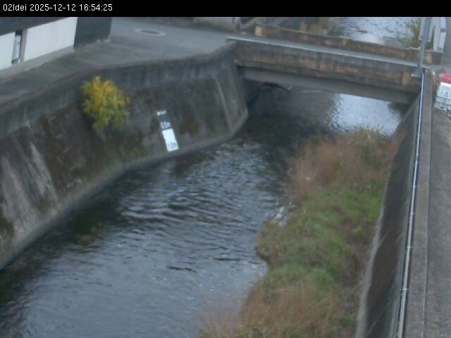 最新監視カメラ画像