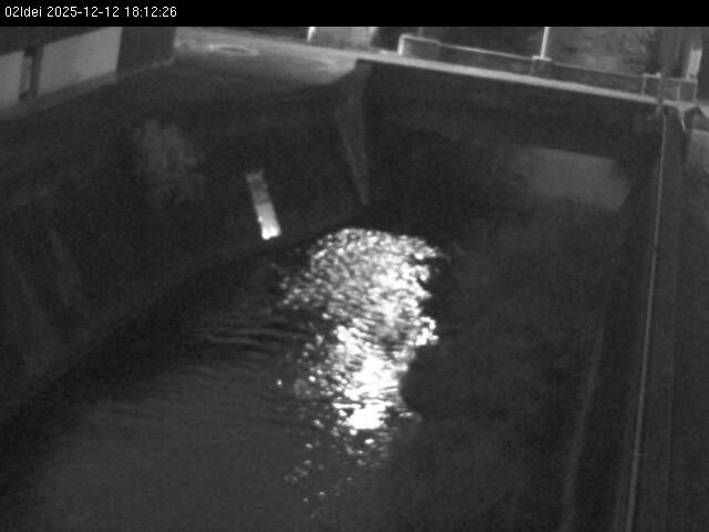 最新監視カメラ画像