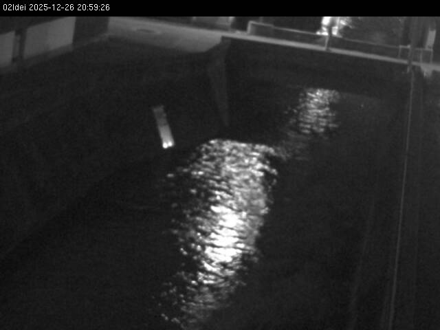 最新監視カメラ画像