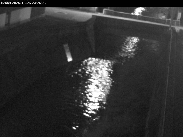 最新監視カメラ画像