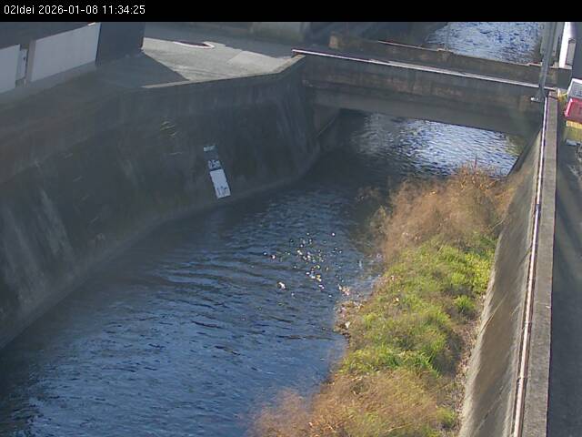 最新監視カメラ画像