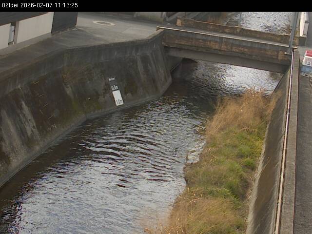 最新監視カメラ画像