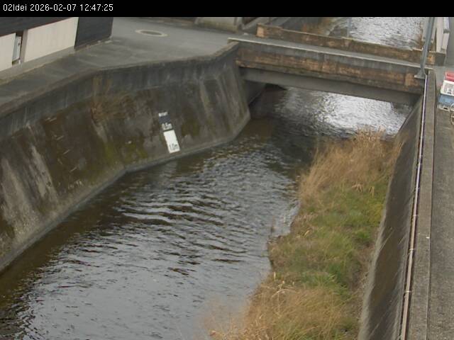 最新監視カメラ画像