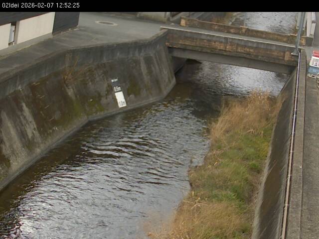 最新監視カメラ画像