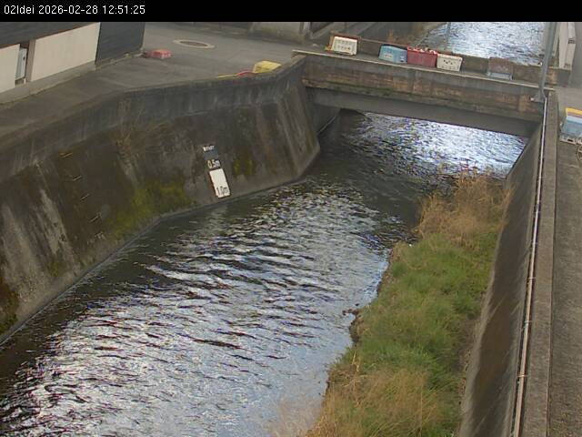 最新監視カメラ画像