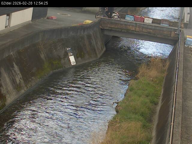 最新監視カメラ画像