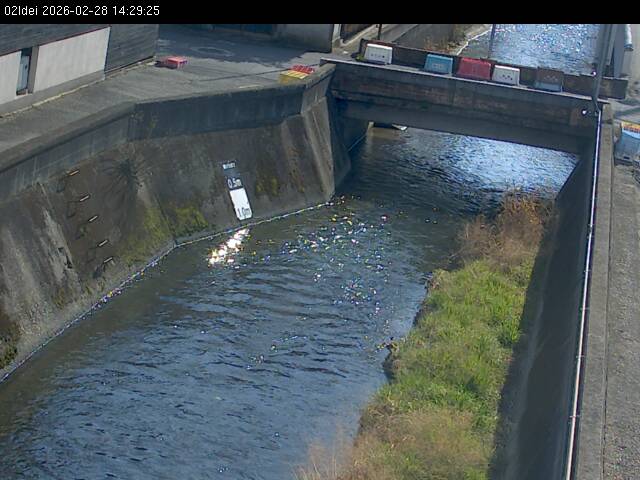 最新監視カメラ画像