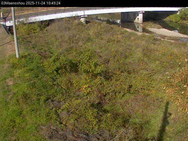 最新監視カメラ画像