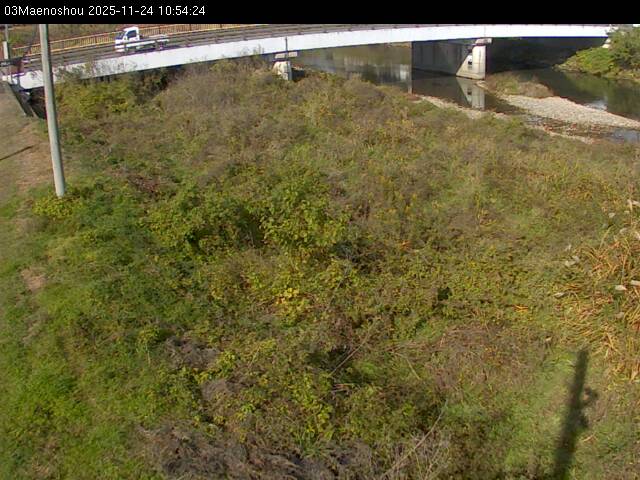 最新監視カメラ画像