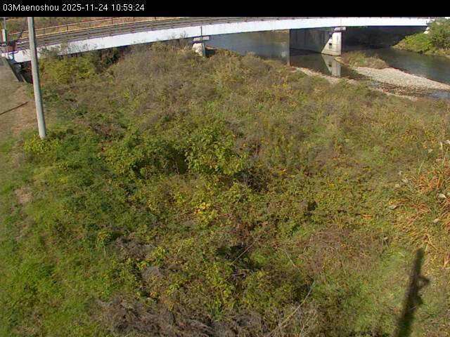 最新監視カメラ画像