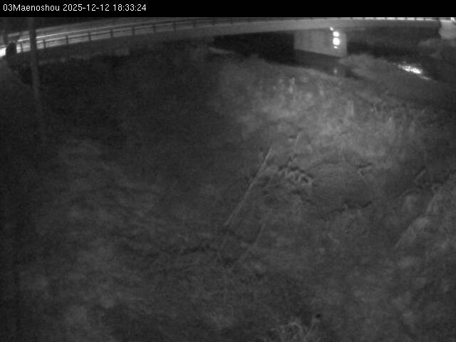 最新監視カメラ画像