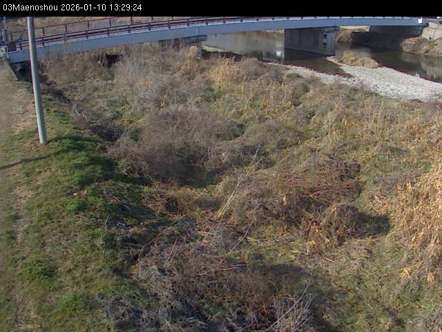 最新監視カメラ画像