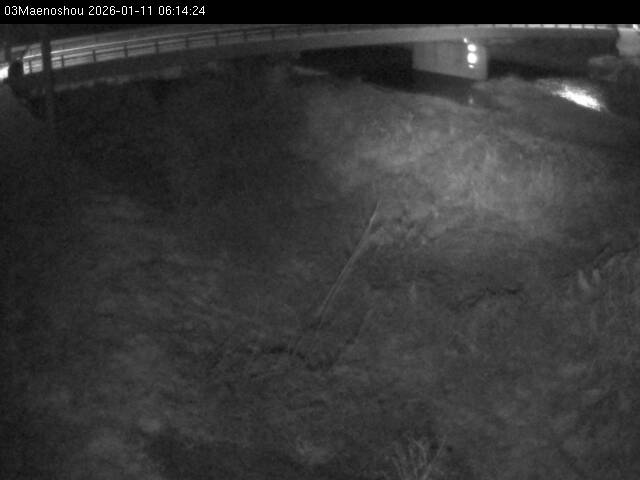 最新監視カメラ画像