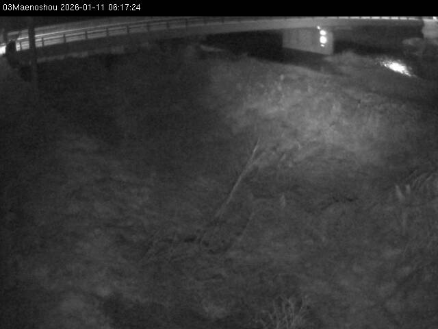 最新監視カメラ画像