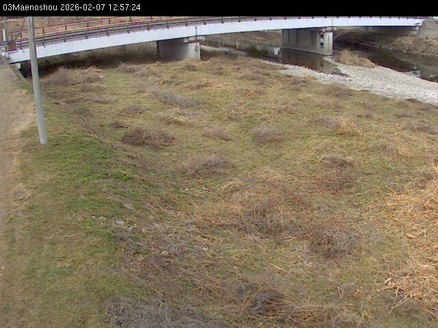 最新監視カメラ画像