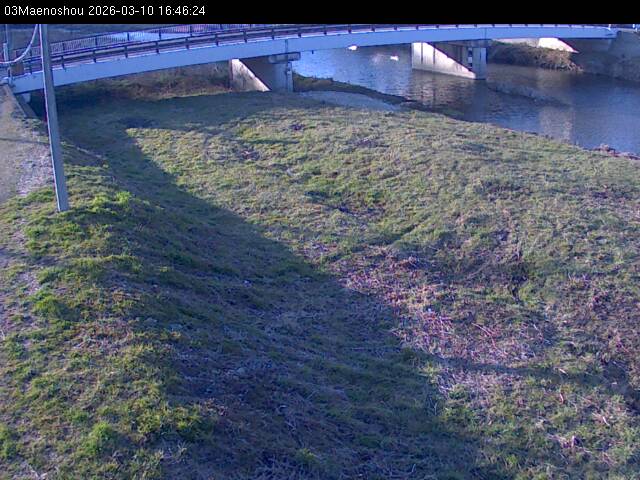 最新監視カメラ画像