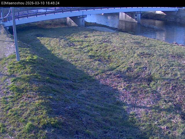 最新監視カメラ画像