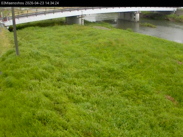 最新監視カメラ画像