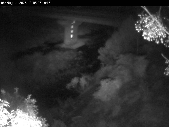 最新監視カメラ画像