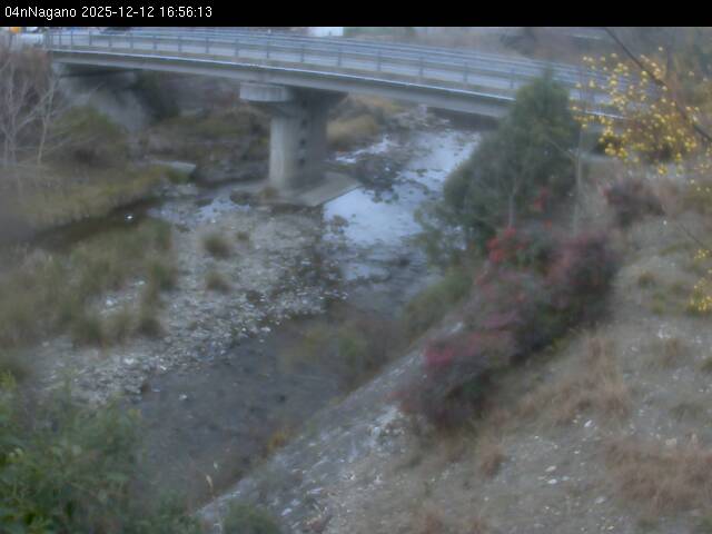 最新監視カメラ画像