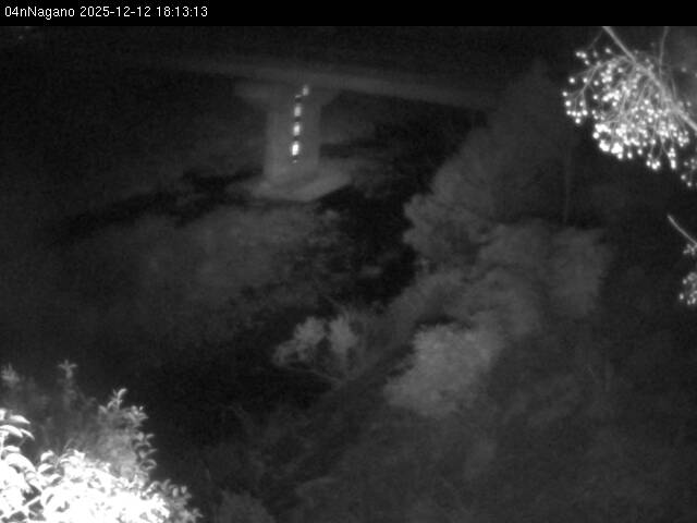 最新監視カメラ画像