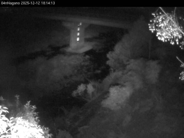 最新監視カメラ画像