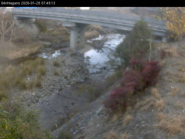 最新監視カメラ画像