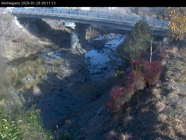 最新監視カメラ画像