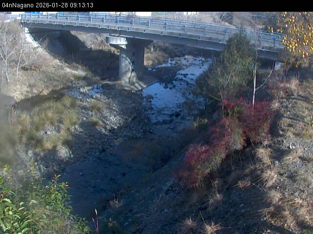 最新監視カメラ画像