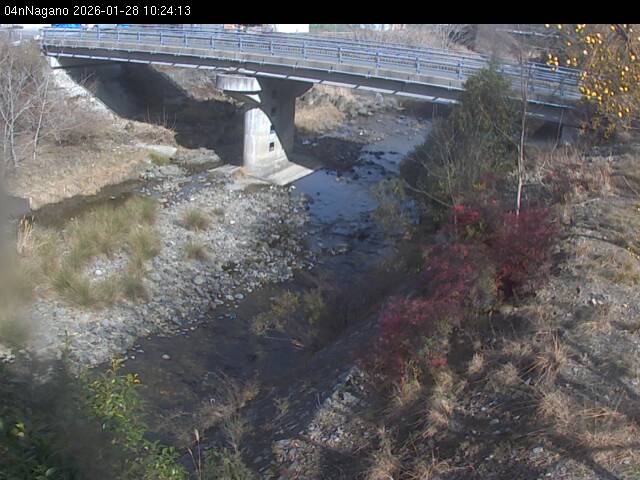 最新監視カメラ画像