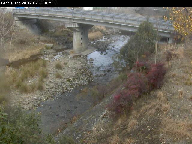 最新監視カメラ画像