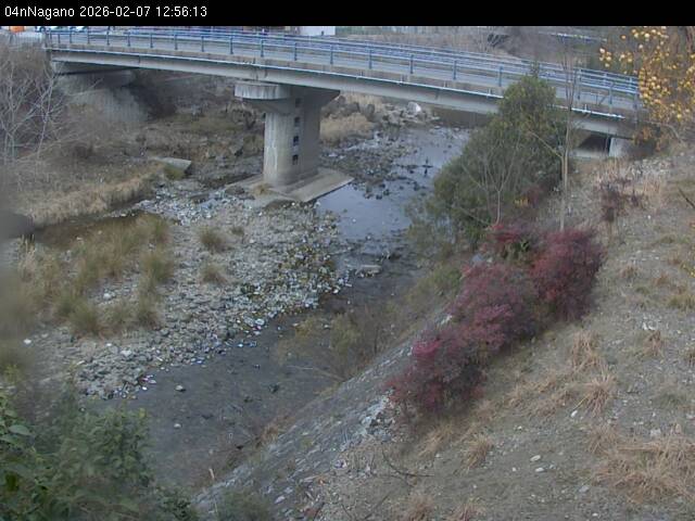 最新監視カメラ画像