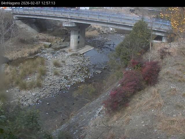 最新監視カメラ画像