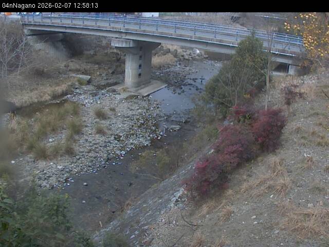 最新監視カメラ画像