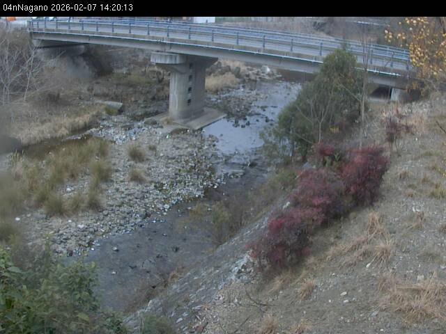 最新監視カメラ画像